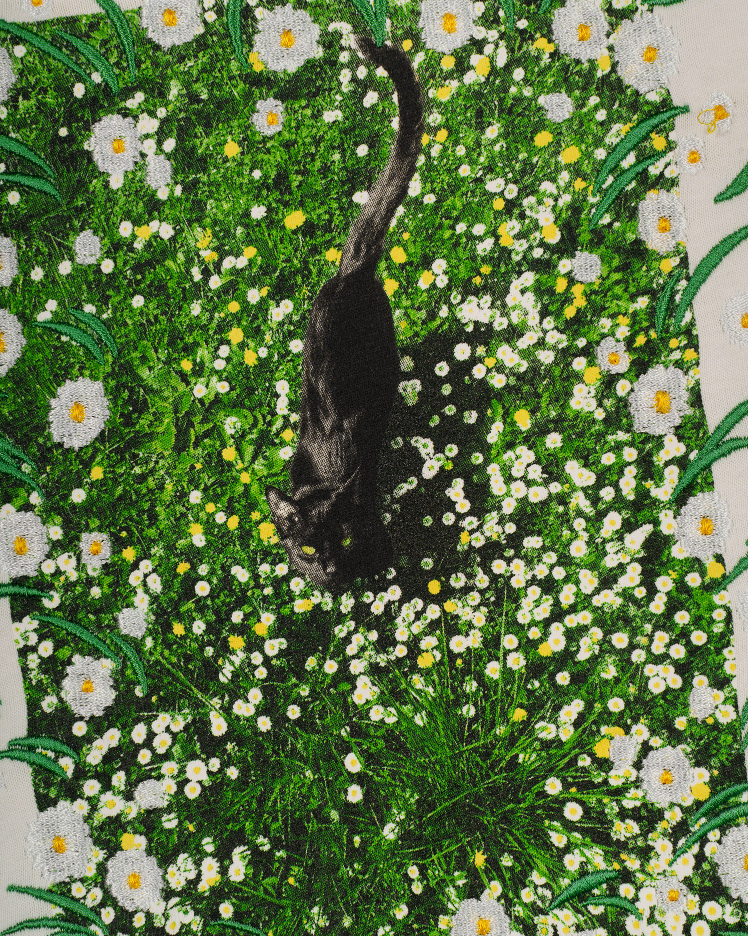 MeadowCat